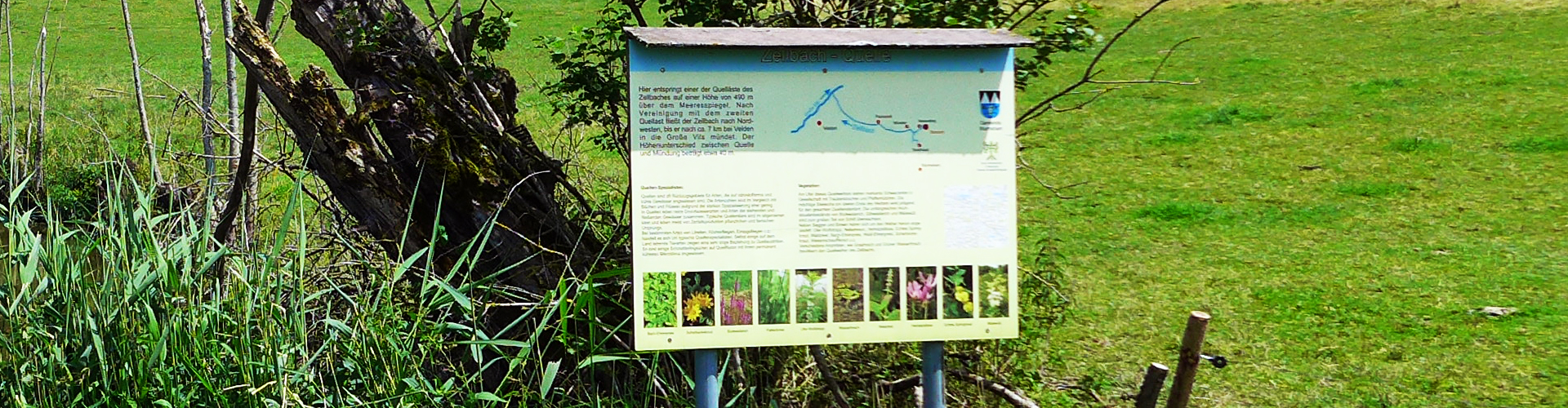 Informationstafel über das Ökosystem an der Zellbachquelle